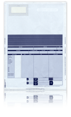 Iris Security Payslips