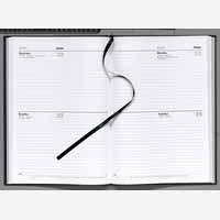 Letts Diary A4 2Days/Page 2026 